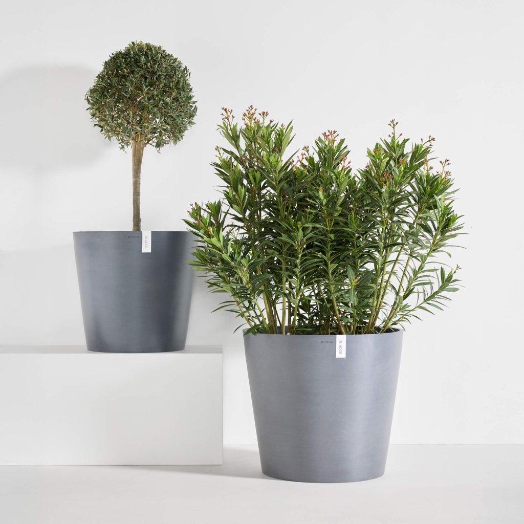 Amsterdam - 8in diam. x 7in