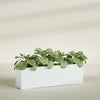 Miami Extra Large Narrow Rectangle Fiberglass Planter - 60 in x 12 in x 18 in - Matte White - Matte White,60 in x 12 in x 18 in