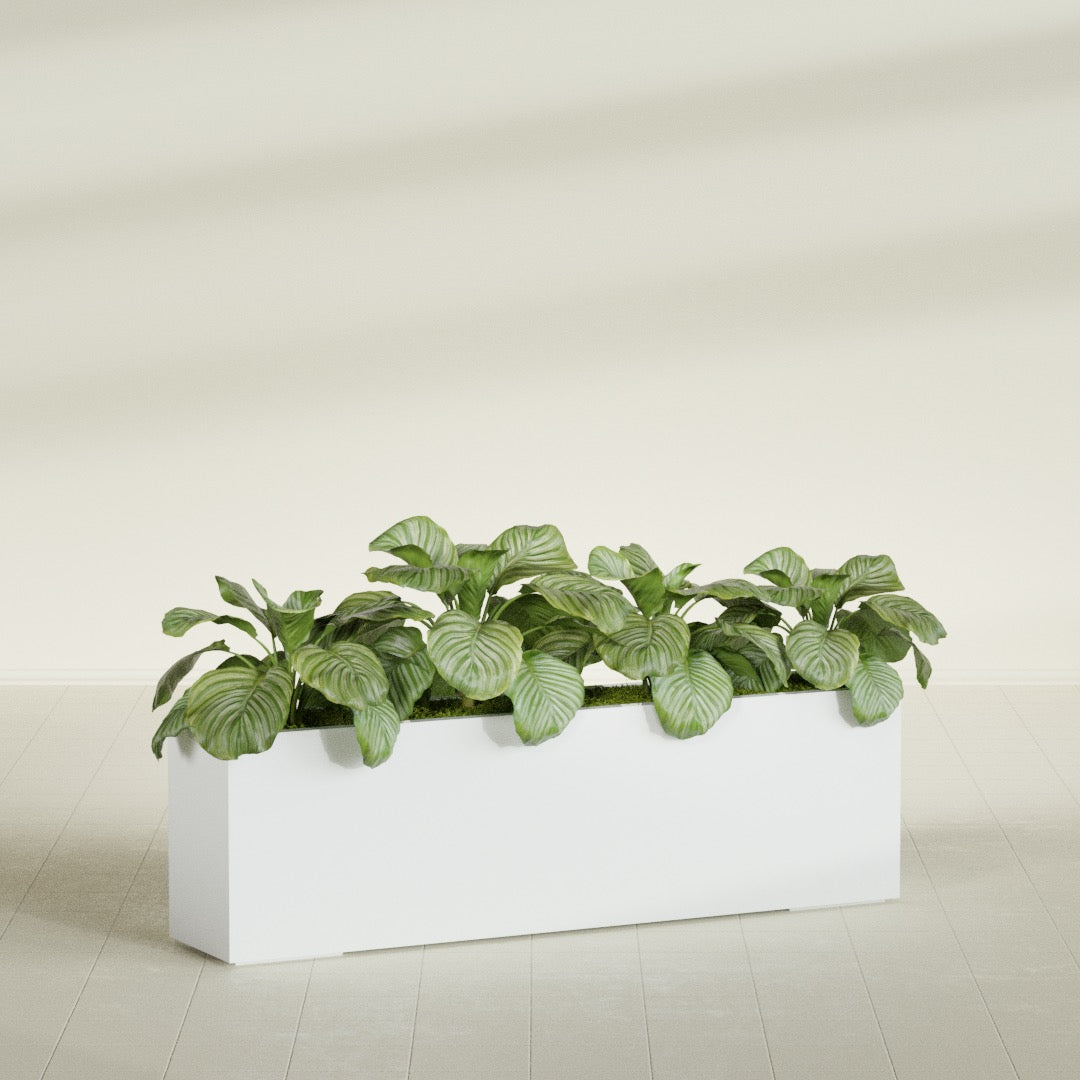 Miami Extra Large Narrow Rectangle Fiberglass Planter - 60 in x 12 in x 18 in - Matte White - Matte White,60 in x 12 in x 18 in