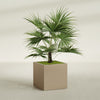 Montroy Large Cube Square Fiberglass Planter - 32 in x 32 in x 32 in - Metallic Gold - Metallic Gold,32 in x 32 in x 32 in