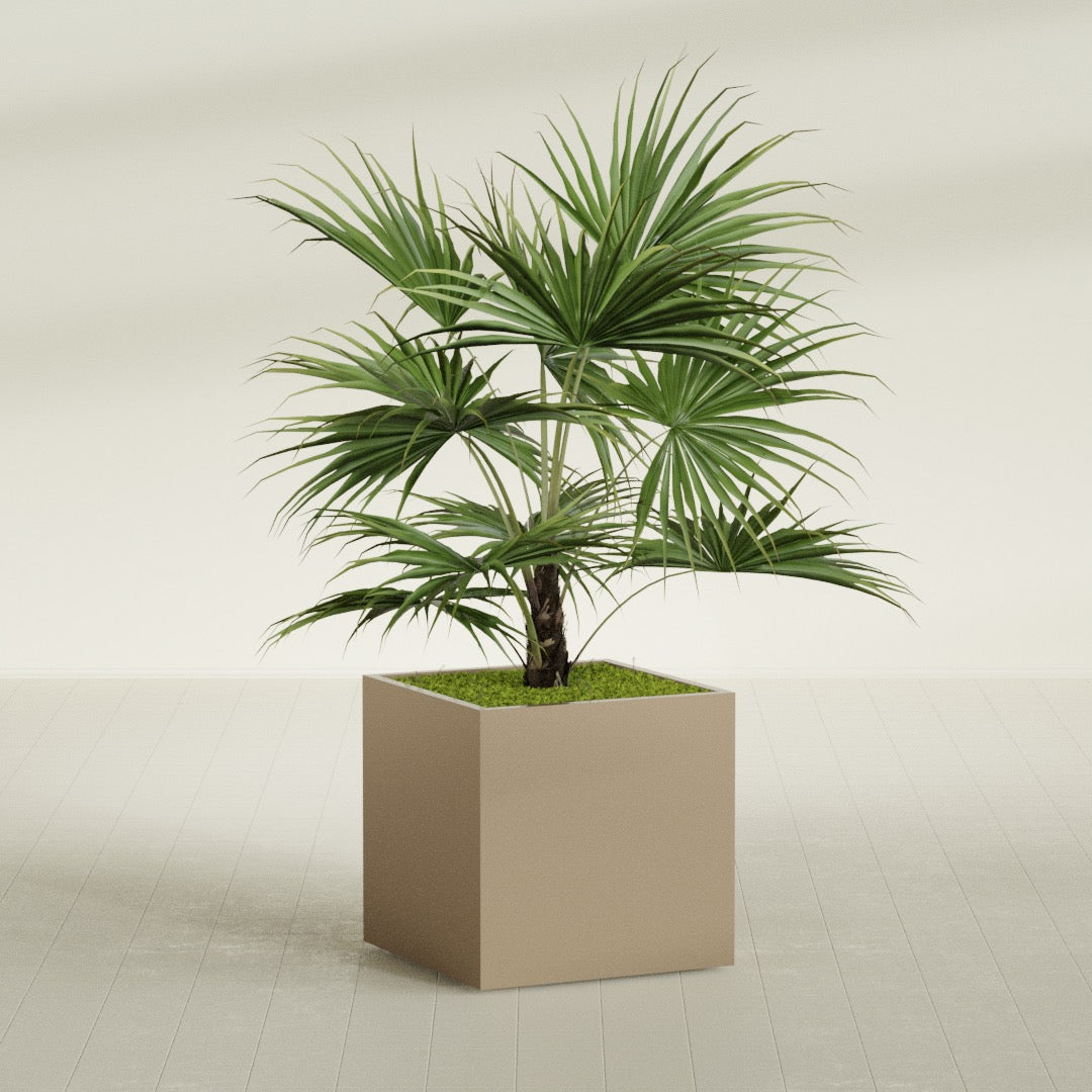 Montroy Large Cube Square Fiberglass Planter - 32 in x 32 in x 32 in - Metallic Gold - Metallic Gold,32 in x 32 in x 32 in