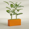 Tolga Extra Large Long Rectangle Fiberglass Planter - 48 in x 16 in x 24 in - Gloss Tangerine - Gloss Tangerine,48 in x 16 in x 24 in