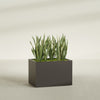 Granada Large Rectangle Fiberglass Planter - 36 in x 24 in x 24 in - Matte Brown - Matte Brown,36 in x 24 in x 24 in