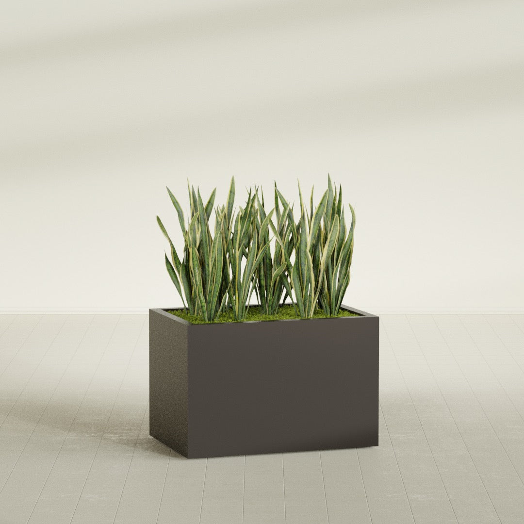 Granada Large Rectangle Fiberglass Planter - 36 in x 24 in x 24 in - Matte Brown - Matte Brown,36 in x 24 in x 24 in