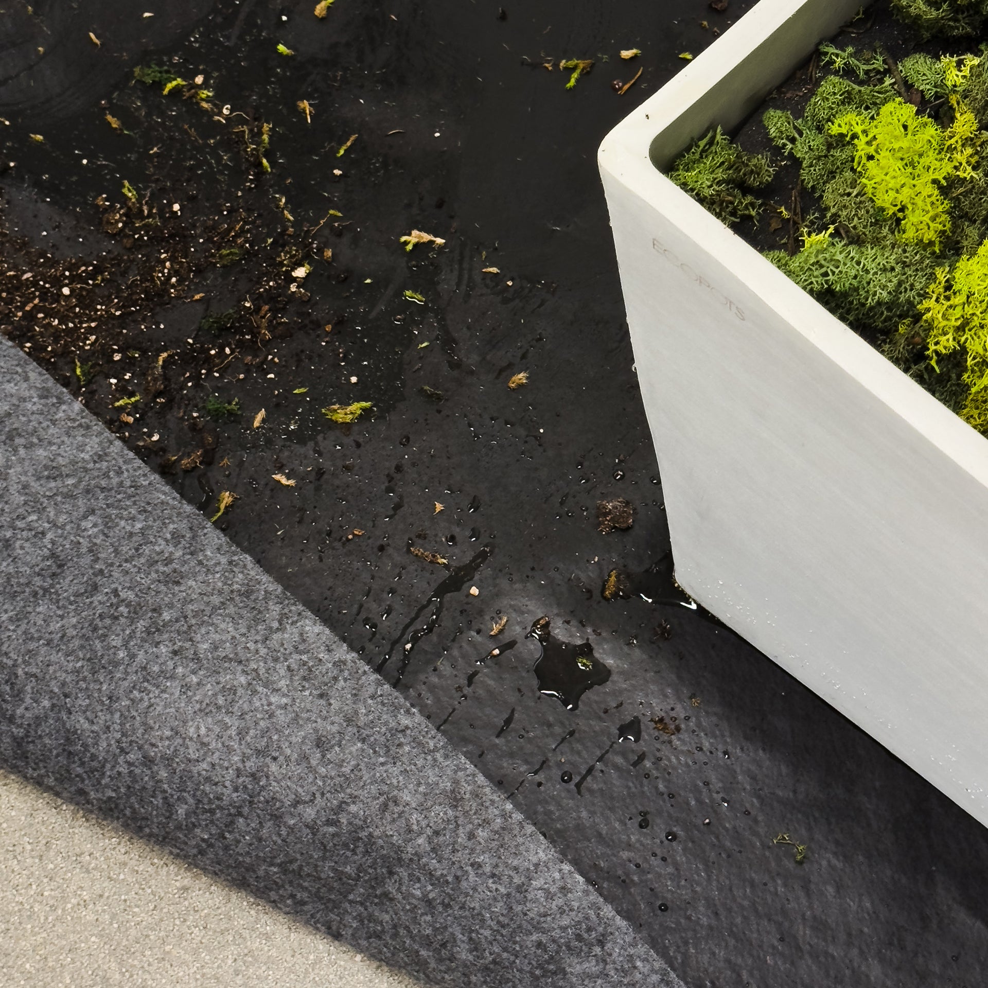 indoor plant floor protection Drip Catcher