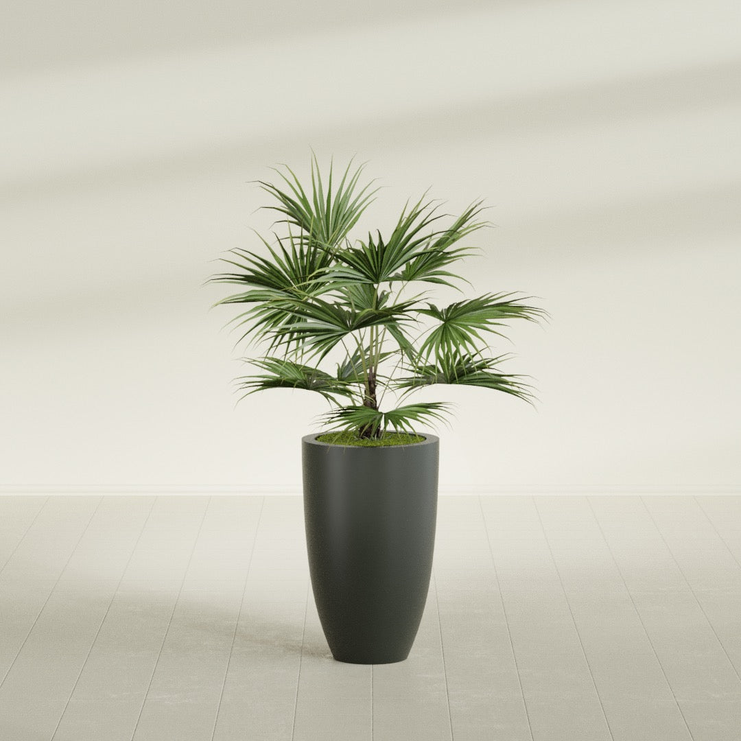 Brannan Medium Round Fiberglass Planter - 18 in x 18 in x 29 in - Matte Charcoal - Matte Charcoal,18 in x 18 in x 29 in