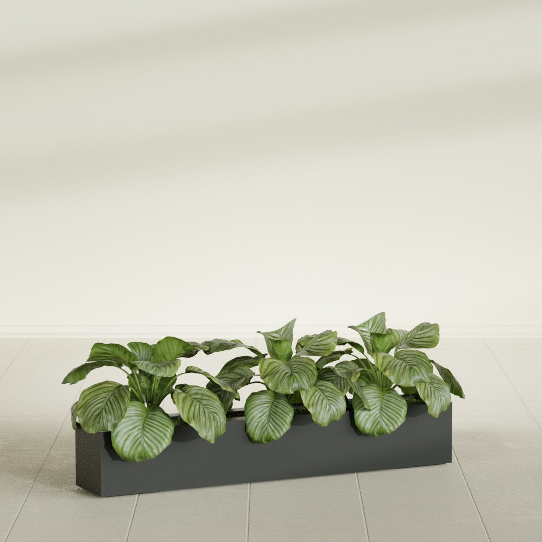 Salon Large Tall Rectangle Fiberglass Planter - 48 in x 8 in x 8 in - Matte Charcoal - Matte Charcoal,48 in x 8 in x 8 in