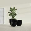 Alzira Large Round Fiberglass Planter - 30 in x 30 in x 28 in - Gloss Black - Gloss Black,30 in x 30 in x 28 in