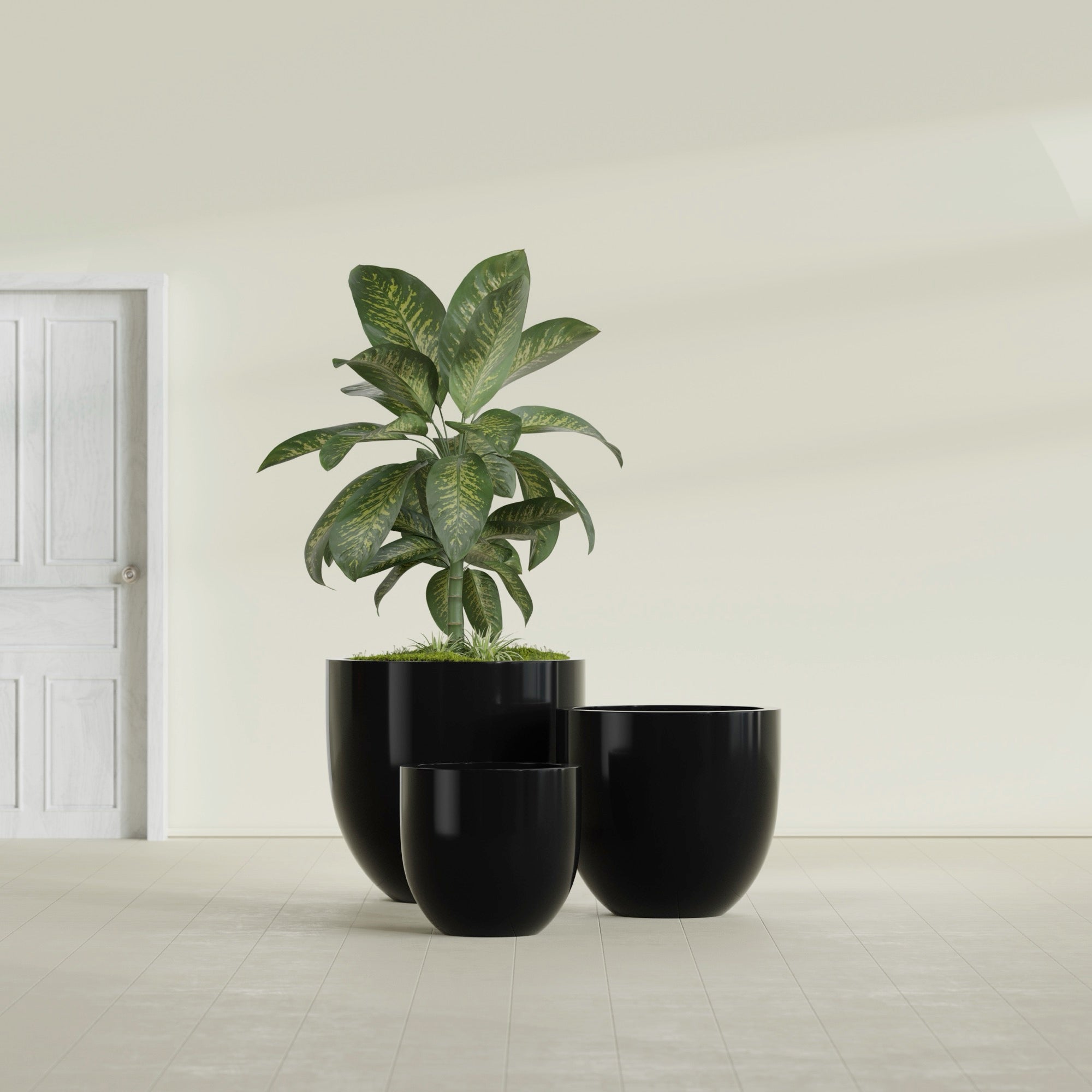 Alzira Large Round Fiberglass Planter - 36 in x 36 in x 34 in - Gloss Black - Gloss Black,36 in x 36 in x 34 in