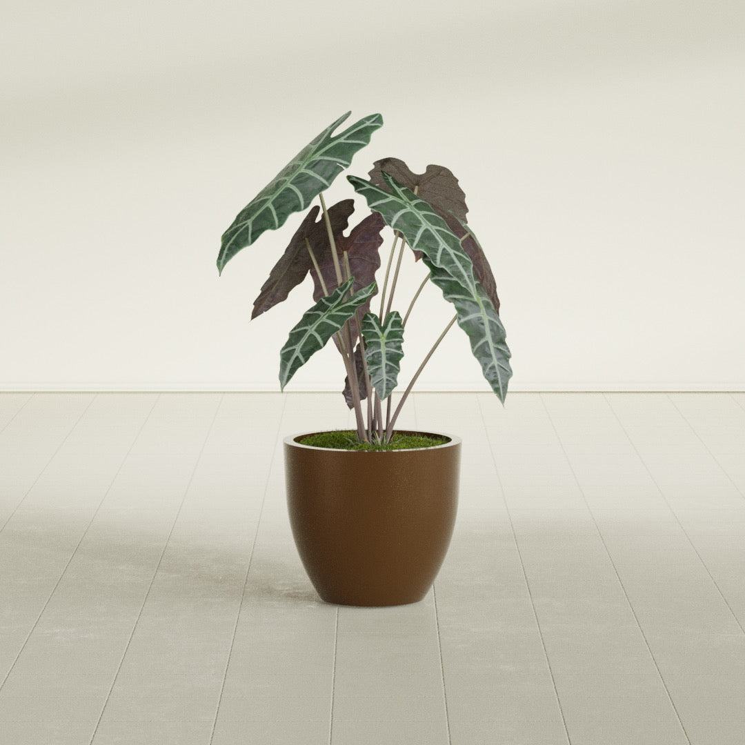 Wannsee Medium Round Fiberglass Planter - 22 in x 22 in x 19 in - Metallic Bronze - Metallic Bronze,22 in x 22 in x 19 in