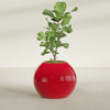 Globe Large Sphere Fiberglass Planter - 30 in x 30 in x 24 in - Gloss Red - Gloss Red,30 in x 30 in x 24 in