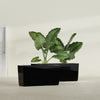 Panama Large Long Rectangle Fiberglass Planter - 36 in x 12 in x 18 in - Gloss Black - Gloss Black,36 in x 12 in x 18 in