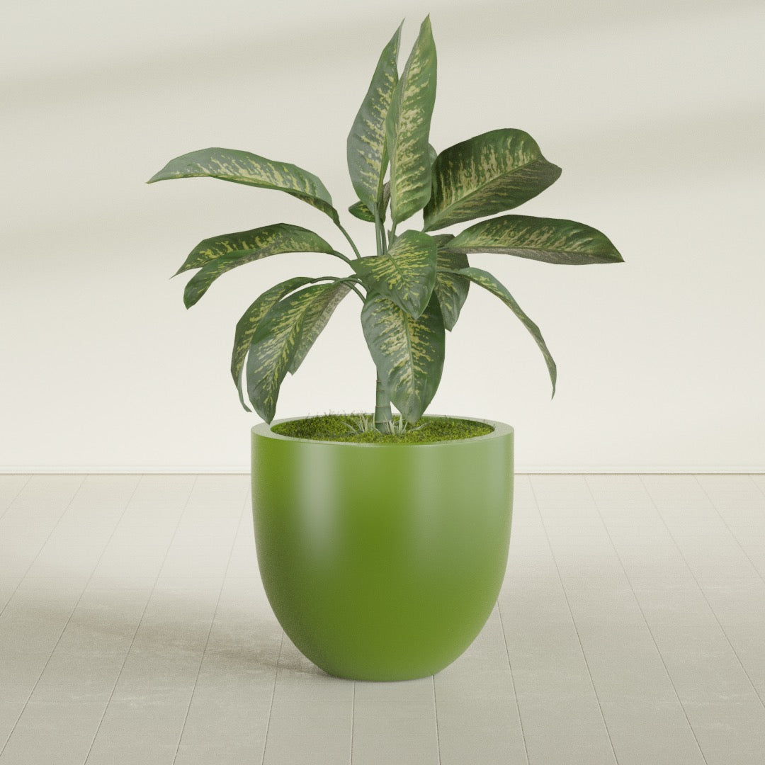 Alzira Large Round Fiberglass Planter - 30 in x 30 in x 28 in - Satin Green - Satin Green,30 in x 30 in x 28 in