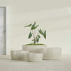 Casablanca Medium Round Low Bowl Fiberglass Planter - 20 in x 20 in x 10 in - Satin Beige - Satin Beige,20 in x 20 in x 10 in