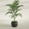 Fishbowl Small Round Fiberglass Planter - 16 in x 16 in x 14 in - Matte Charcoal - Matte Charcoal,16 in x 16 in x 14 in