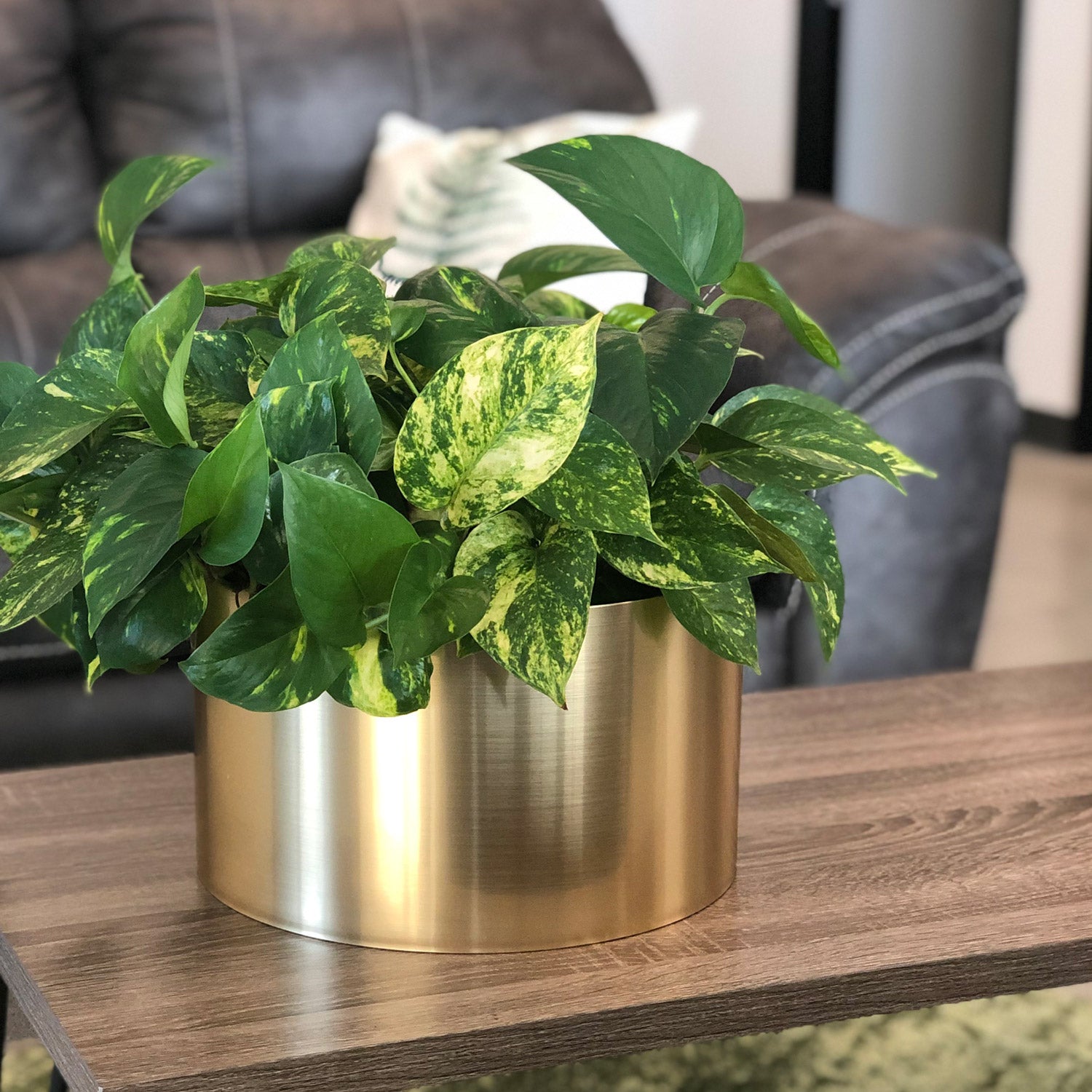 Hand-Foiled Tabletop Cylinder - 12in diam. x 7in - Brushed Aluminum - Brushed Aluminum,12" diam. x 7"H