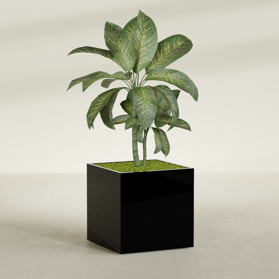 Montroy Large Cube Square Fiberglass Planter - 36 in x 36 in x 36 in - Gloss Black - Gloss Black,36 in x 36 in x 36 in
