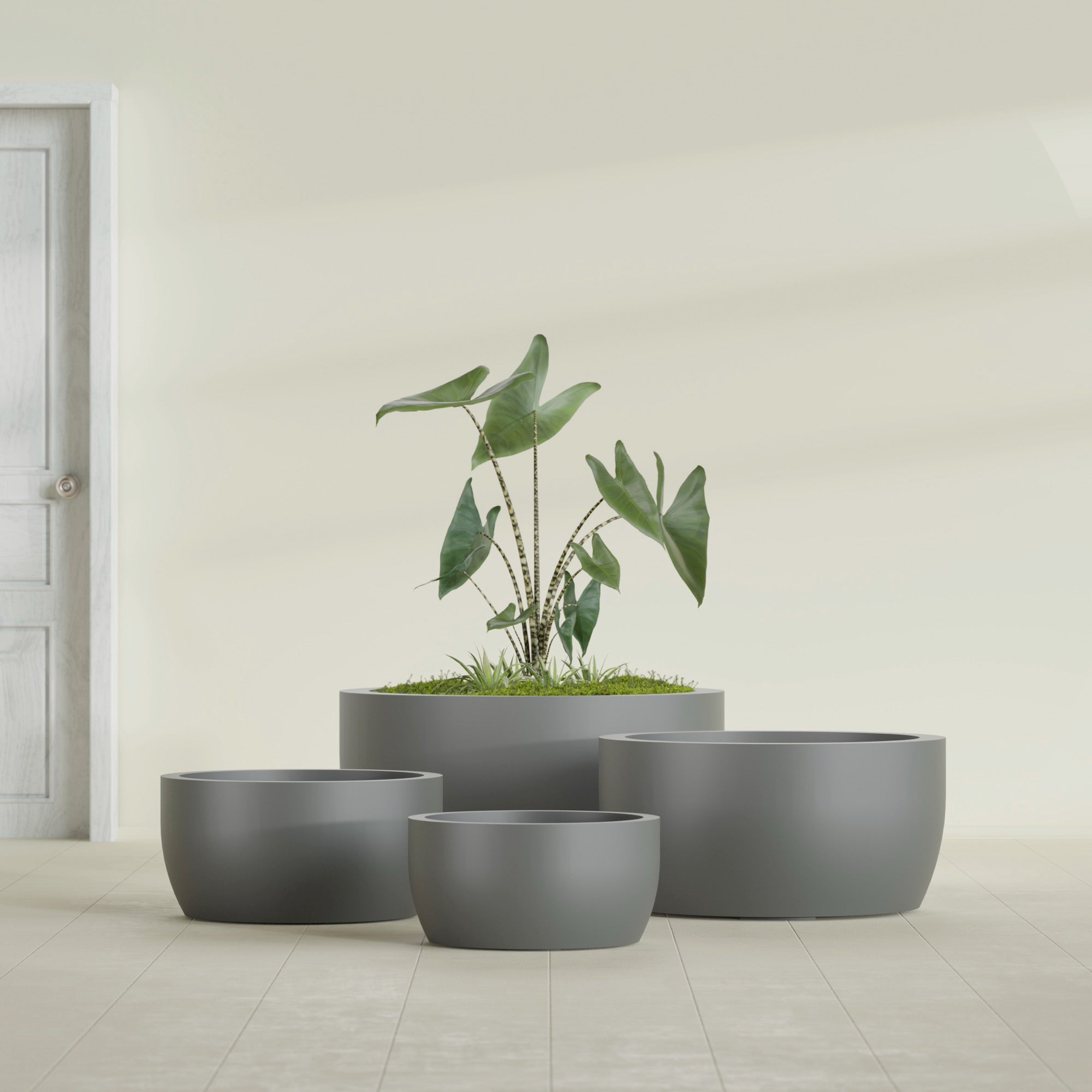 Casablanca Medium Round Low Bowl Fiberglass Planter - 24 in x 24 in x 12 in - Metallic Gunmetal - Metallic Gunmetal,24 in x 24 in x 12 in