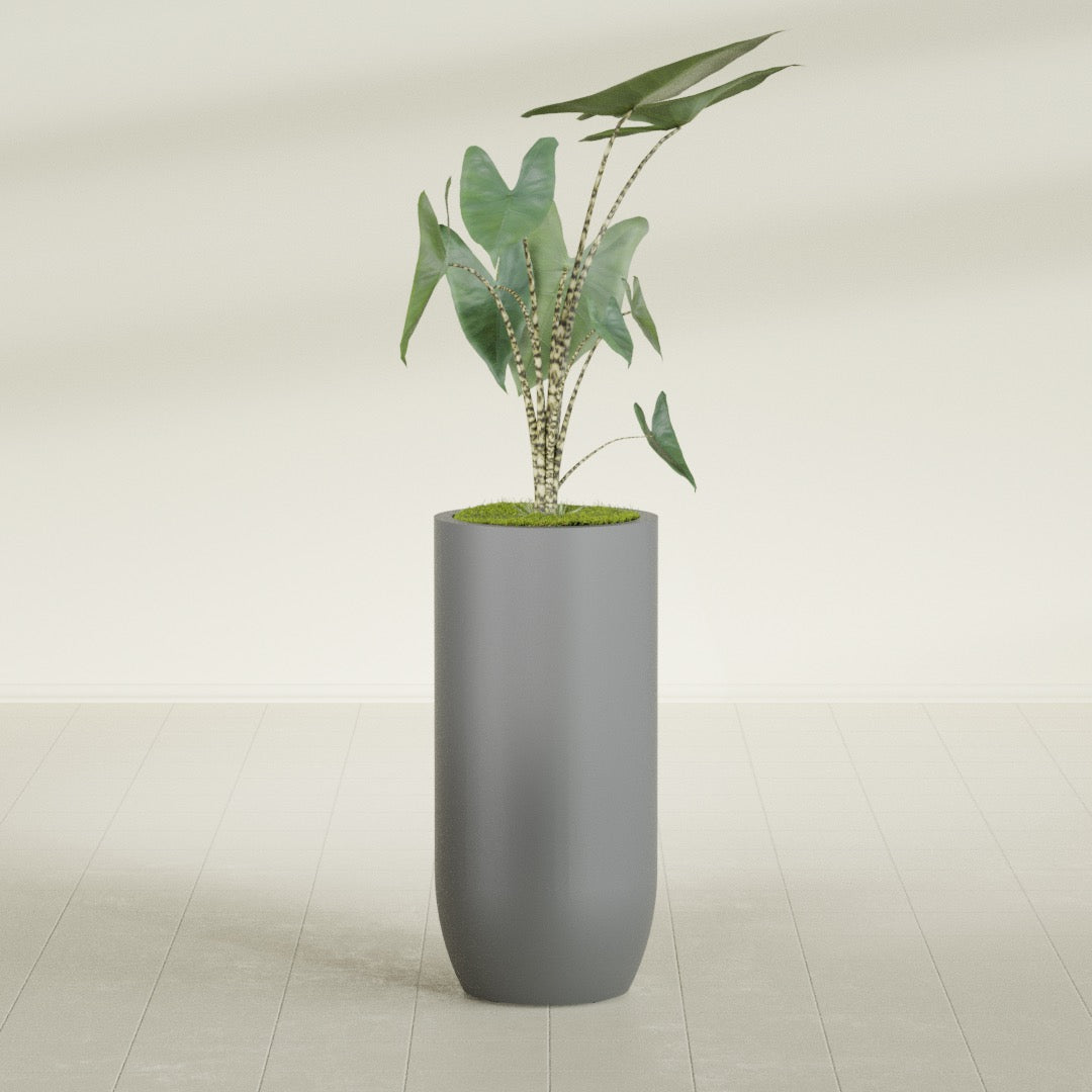 Saint Tropez Large Tall Round Fiberglass Planter - 20 in x 20 in x 43 in - Metallic Gunmetal - Metallic Gunmetal,20 in x 20 in x 43 in