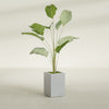 Tolga Medium Rectangle Fiberglass Planter - 16 in x 16 in x 24 in - Metallic Silver - Metallic Silver,16 in x 16 in x 24 in