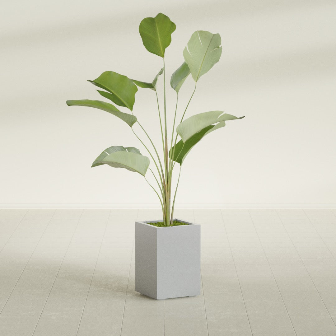 Tolga Medium Rectangle Fiberglass Planter - 16 in x 16 in x 24 in - Metallic Silver - Metallic Silver,16 in x 16 in x 24 in