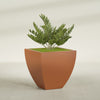 Lima Large Tapered Square Fiberglass Planter - 30 in x 30 in x 30 in - Matte Terracotta - Matte Terracotta,30 in x 30 in x 30 in