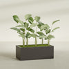 Torino Extra Large Wide Rectangle Fiberglass Planter - 48 in x 24 in x 18 in - Matte Brown - Matte Brown,48 in x 24 in x 18 in