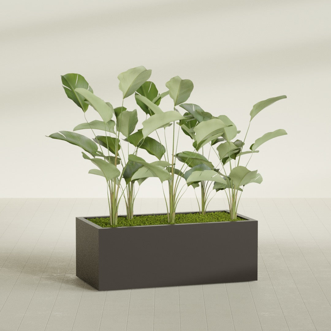 Torino Extra Large Wide Rectangle Fiberglass Planter - 48 in x 24 in x 18 in - Matte Brown - Matte Brown,48 in x 24 in x 18 in