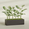 Torino Extra Large Wide Rectangle Fiberglass Planter - 60 in x 24 in x 18 in - Matte Brown - Matte Brown,60 in x 24 in x 18 in