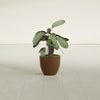 Wannsee Small Round Fiberglass Planter - 15 in x 15 in x 13 in - Metallic Bronze - Metallic Bronze,15 in x 15 in x 13 in