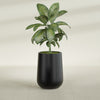 Tall Hayden Medium Round Fiberglass Planter - 15 in x 15 in x 23 in - Matte Black - Matte Black,15 in x 15 in x 23 in