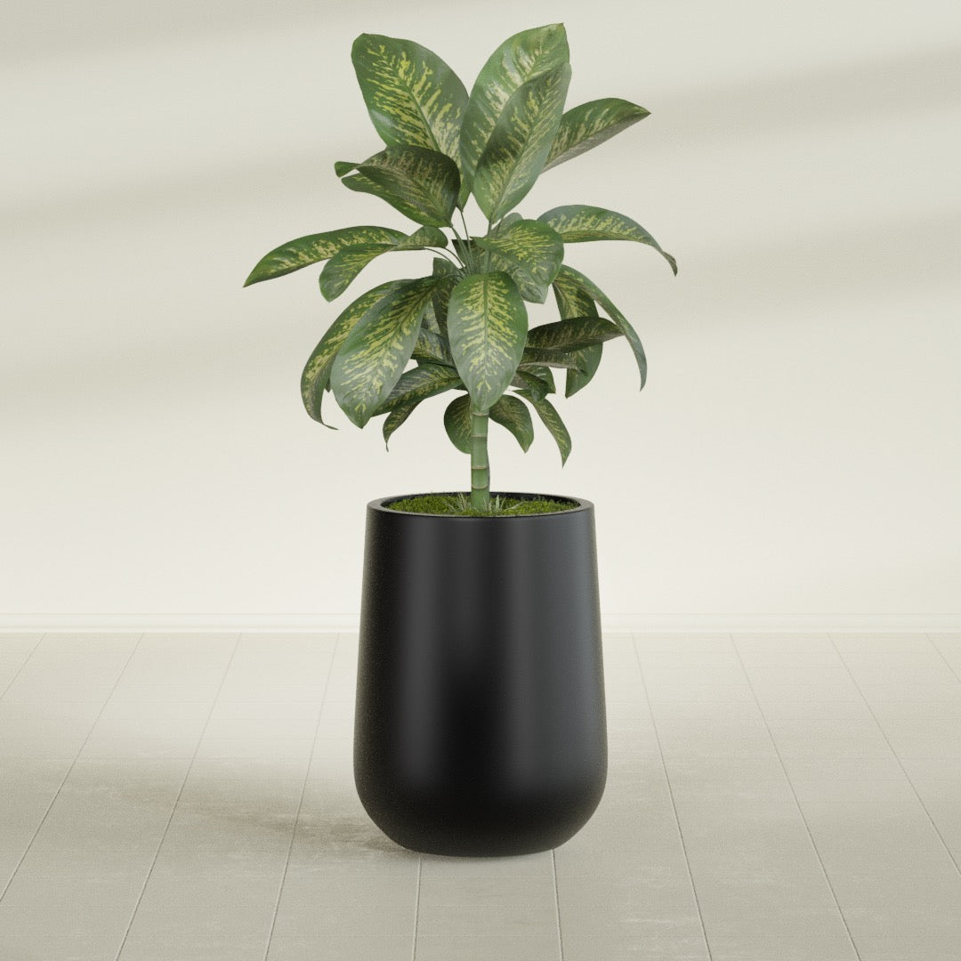 Tall Hayden Medium Round Fiberglass Planter - 15 in x 15 in x 23 in - Matte Black - Matte Black,15 in x 15 in x 23 in