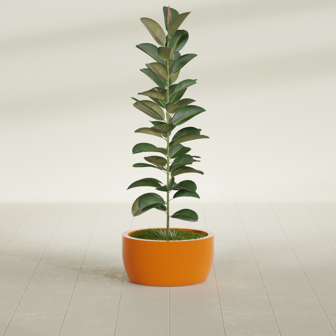 Casablanca Medium Round Low Bowl Fiberglass Planter - 20 in x 20 in x 10 in - Gloss Tangerine - Gloss Tangerine,20 in x 20 in x 10 in