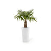 Amsterdam High Large Round Planter - 16 in x 16.25 in x 30 in - Pure White - Pure White,16 in x 16.25 in x 30 in,Planter Only