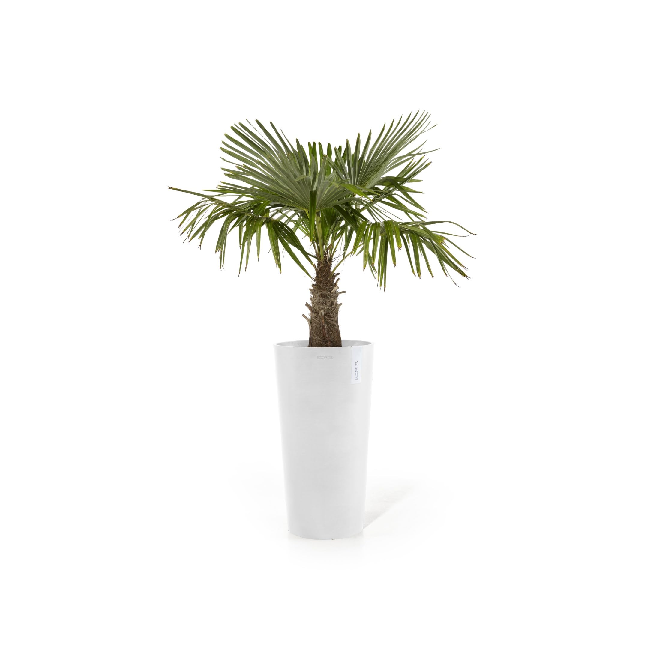 Amsterdam High Large Round Planter - 16 in x 16.25 in x 30 in - Pure White - Pure White,16 in x 16.25 in x 30 in,Planter Only