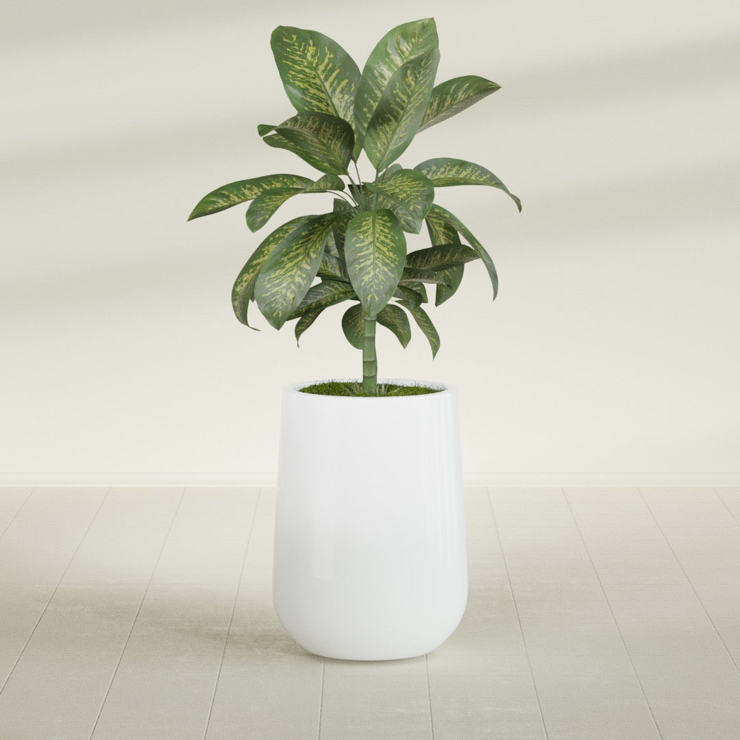 Tall Hayden Medium Round Fiberglass Planter - 15 in x 15 in x 23 in - Matte White - Matte White,15 in x 15 in x 23 in