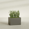 Granada Large Rectangle Fiberglass Planter - 36 in x 24 in x 24 in - Matte Bronze - Matte Bronze,36 in x 24 in x 24 in