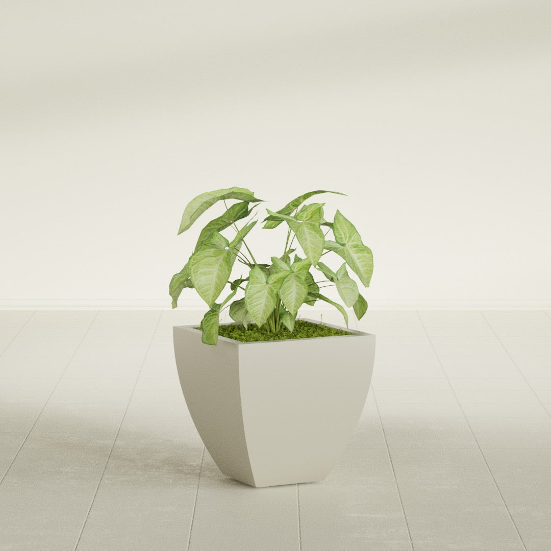 Lima Small Tapered Square Fiberglass Planter - 16 in x 16 in x 16 in - Satin Beige - Satin Beige,16 in x 16 in x 16 in