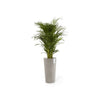 Amsterdam High Large Tall Round Planter - 19.5 in x 19.5 in x 35.5 in - Taupe - Taupe,19.5 in x 19.5 in x 35.5 in,Planter Only