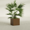 Montroy Medium Cube Square Fiberglass Planter - 24 in x 24 in x 24 in - Metallic Bronze - Metallic Bronze,24 in x 24 in x 24 in