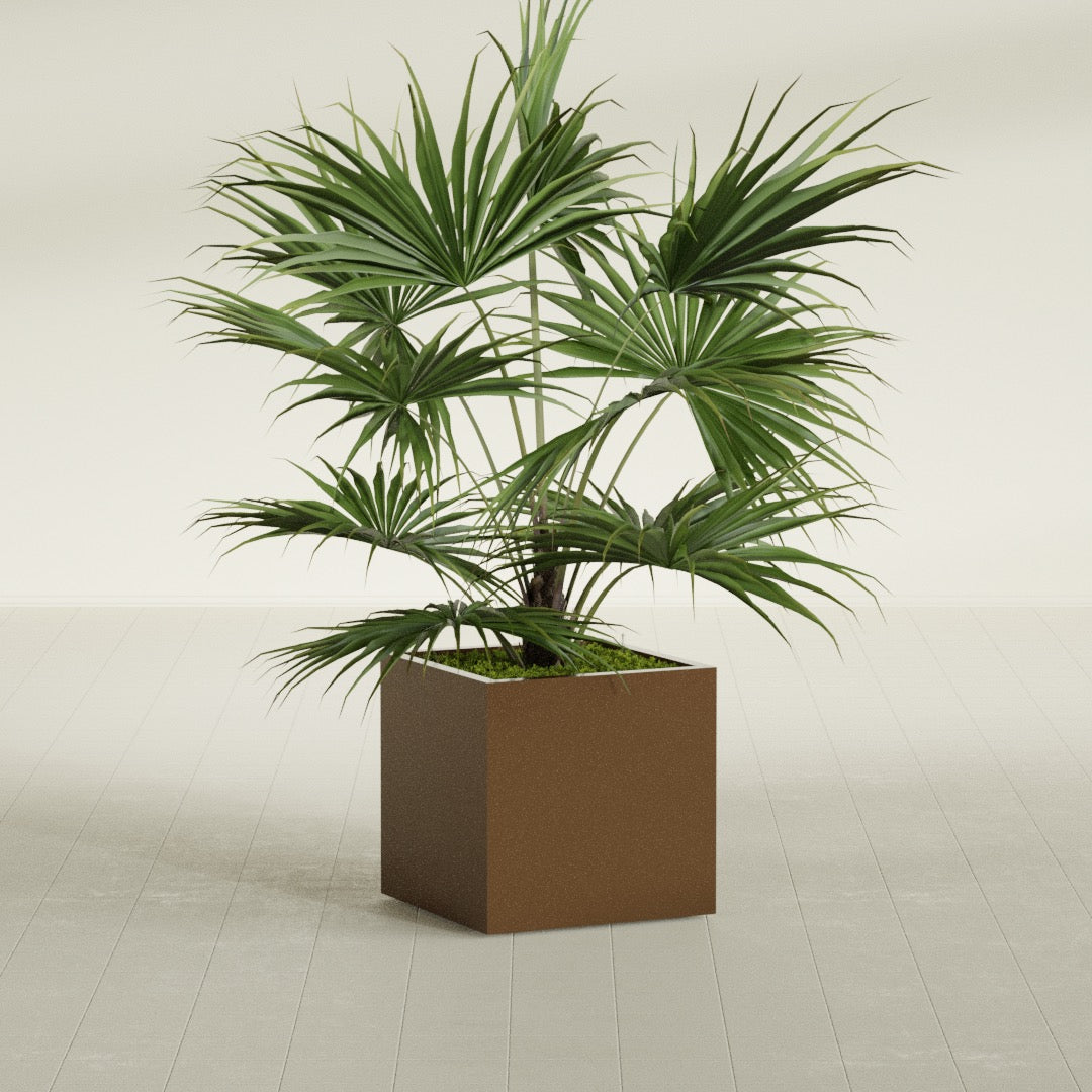 Montroy Medium Cube Square Fiberglass Planter - 24 in x 24 in x 24 in - Metallic Bronze - Metallic Bronze,24 in x 24 in x 24 in