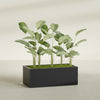 Torino Extra Large Wide Rectangle Fiberglass Planter - 48 in x 24 in x 18 in - Matte Black - Matte Black,48 in x 24 in x 18 in