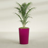 Tegel Medium Round Fiberglass Planter - 18 in x 18 in x 26 in - Gloss Eggplant - Gloss Eggplant,18 in x 18 in x 26 in