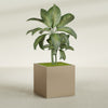 Montroy Large Cube Square Fiberglass Planter - 36 in x 36 in x 36 in - Metallic Gold - Metallic Gold,36 in x 36 in x 36 in