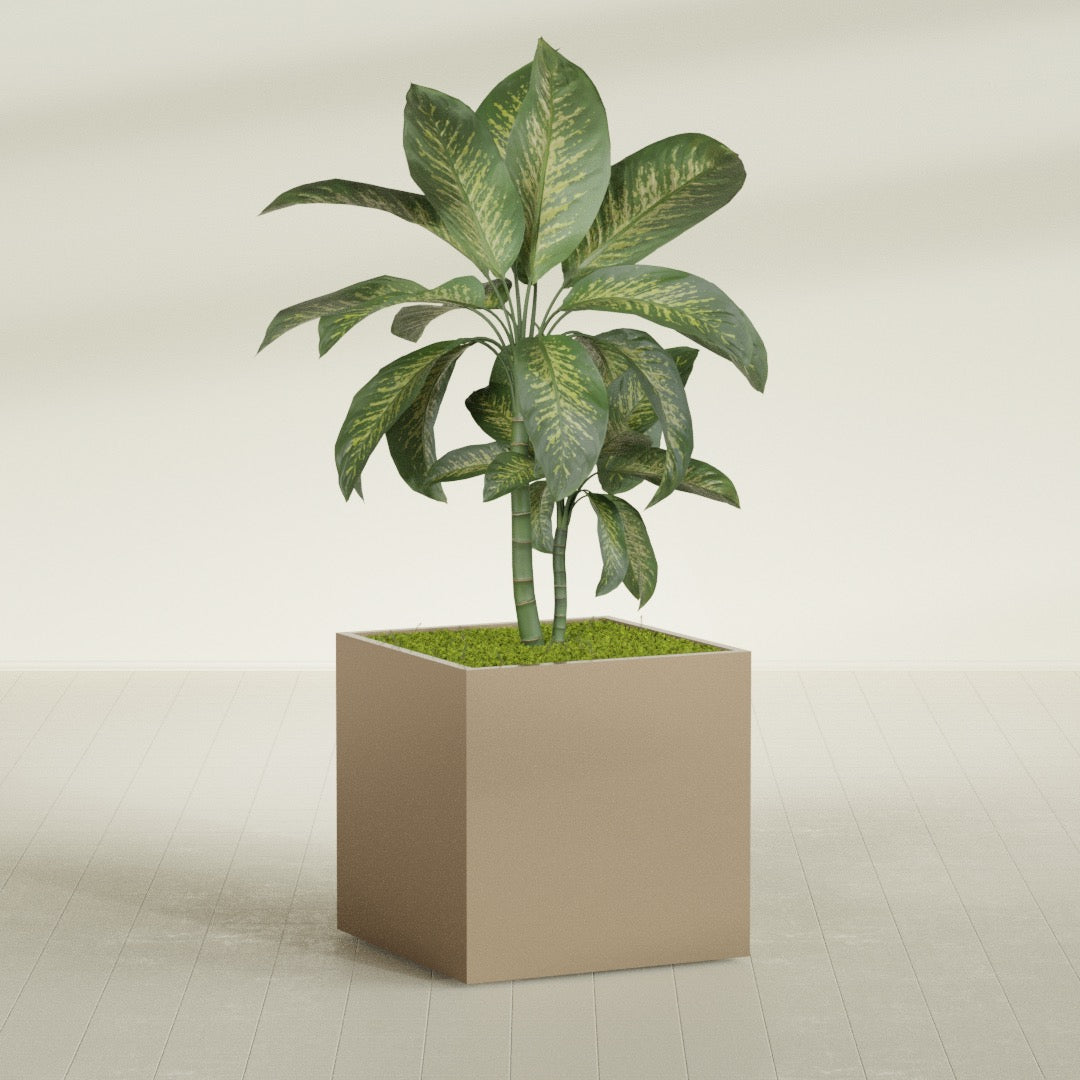 Montroy Large Cube Square Fiberglass Planter - 36 in x 36 in x 36 in - Metallic Gold - Metallic Gold,36 in x 36 in x 36 in