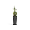 Rotterdam Medium Tall Square Planter - 12.6 in x 12.6 in x 27.5 in - Planter + Saucer - Dark Grey - Dark Grey,12.5 in x 12.5 in x 27.5 in,Planter + Saucer