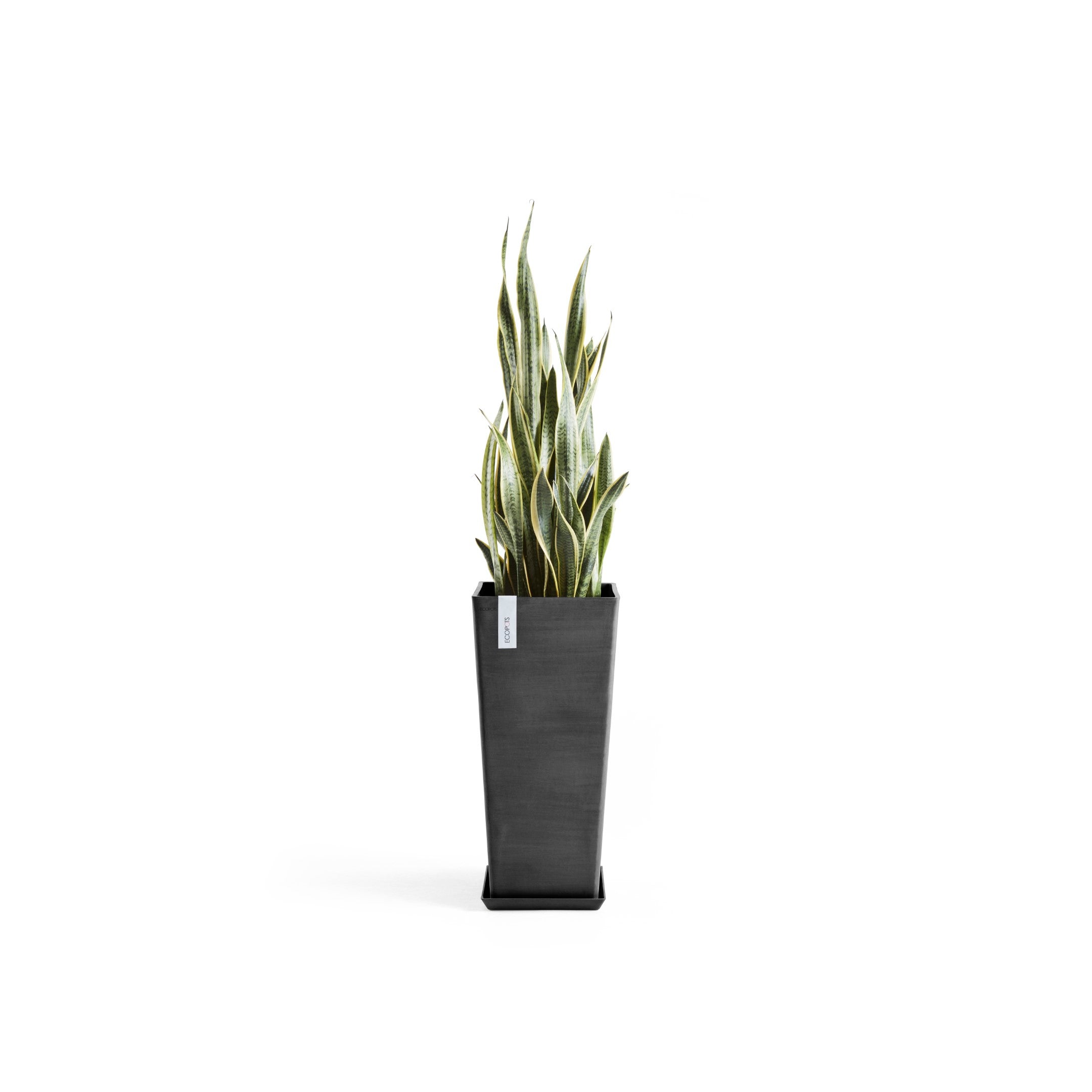 Rotterdam Medium Tall Square Planter - 12.6 in x 12.6 in x 27.5 in - Planter + Saucer - Dark Grey - Dark Grey,12.5 in x 12.5 in x 27.5 in,Planter + Saucer