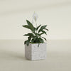 Cube - 24in x 24in x 24in - StoneLight - Greystone - StoneLight - Greystone,24 in x 24 in x 24 in