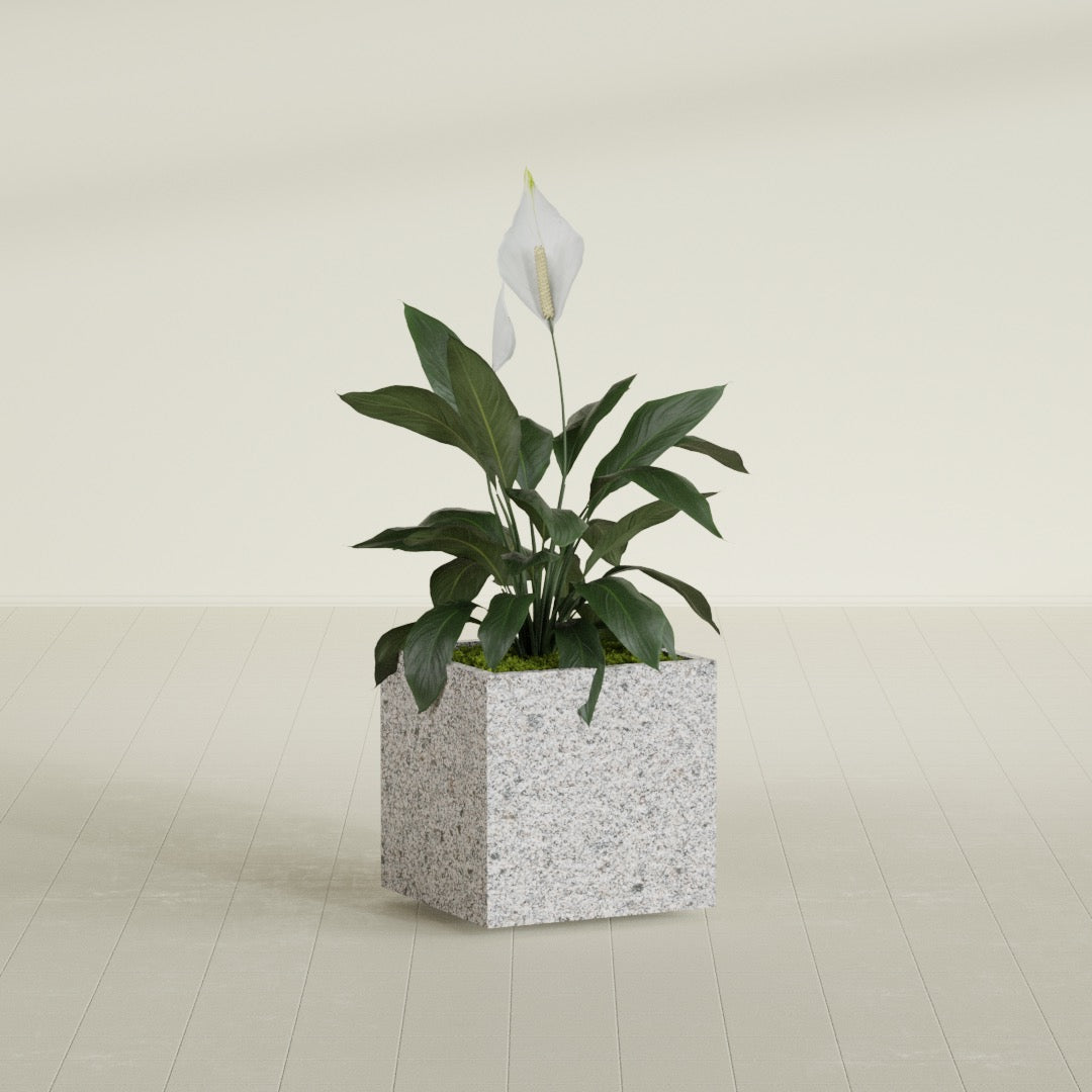 Cube - 24in x 24in x 24in - StoneLight - Greystone - StoneLight - Greystone,24 in x 24 in x 24 in