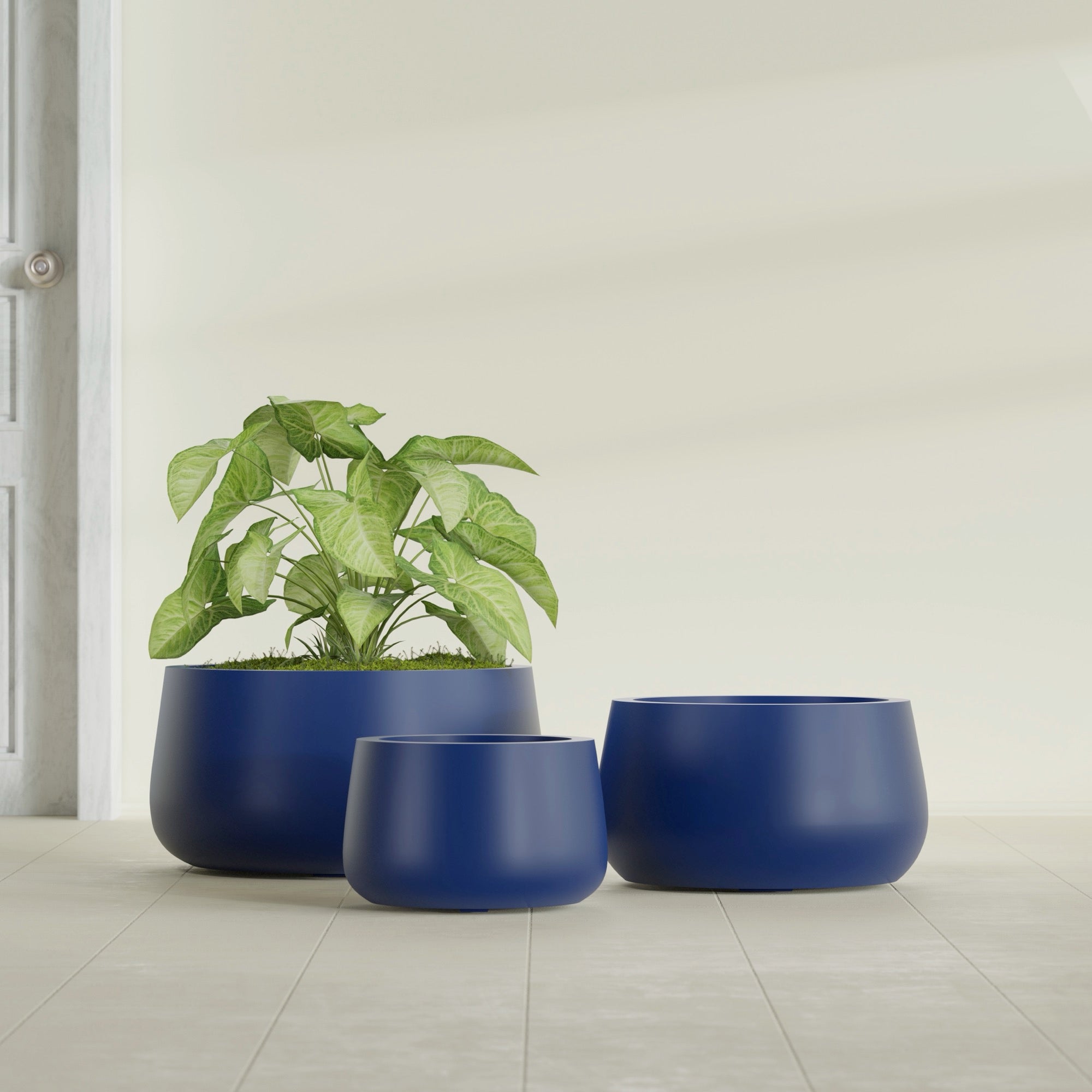 Short Hayden Medium Round Fiberglass Planter - 20 in x 20 in x 10 in - Matte Cobalt Blue - Matte Cobalt Blue,20 in x 20 in x 10 in